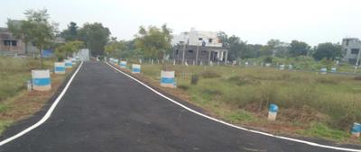 Project Images