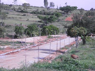 Project Image of 5000.0 - 6000.0 Sq.ft Residential Plot Plot for buy in Greater Farm Casa