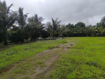 Project Image of 1000.0 - 3000.0 Sq.ft Residential Plot Plot for buy in Bhoomi Plots In Chavni
