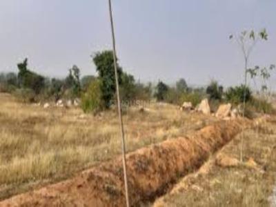 Aliens 204 2017 HRO H1 Elevation 1