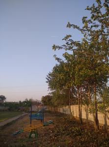 Project Image of 635.0 - 1209.0 Sq.ft 2 BHK Duplex for buy in Satguru New Raipur Residency
