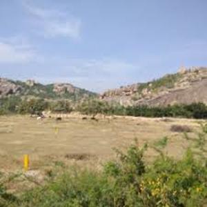 Project Image of 3251.0 - 7793.0 Sq.ft Residential Plot Plot for buy in Aliens 195 2017 HRO H1