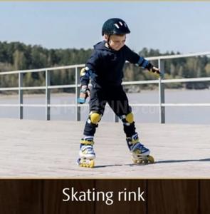 Exotica Woods Skating Rink 4