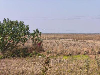 Project Image of 1000.0 - 3000.0 Sq.ft Residential Plot Plot for buy in Bhoomi Plots in Tuksai