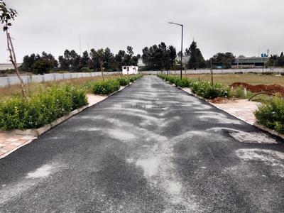 Project Image of 0.0 - 1200.0 Sq.ft Residential Plot Plot for buy in Shrinika Blue Mango Orchard