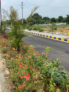 Project Image of 1100.0 - 12249.01 Sq.ft Residential Plot Plot for buy in The Metro Apex