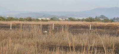 Project Image of 1000.0 - 10000.0 Sq.ft Residential Plot Plot for buy in Bhoomi Plots In Ranjanpada