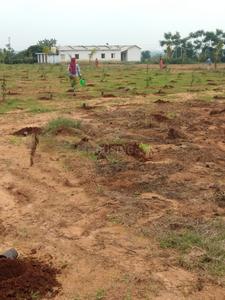 Project Image of 2178.0 - 4356.0 Sq.ft Residential Plot Plot for buy in RR Mega Siri Vanam