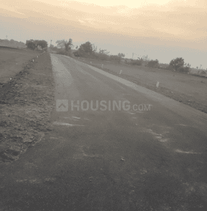 Project Images