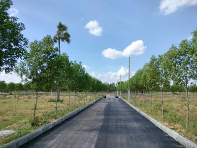 Project Image of 1440.0 - 2547.0 Sq.ft Residential Plot Plot for buy in Viraaditya Green Avenue