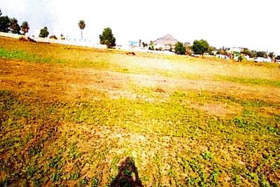Project Images