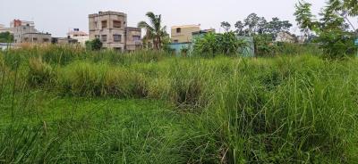 Project Image of 720.0 - 2160.0 Sq.ft Residential Plot Plot for buy in Konchowki Housing Society