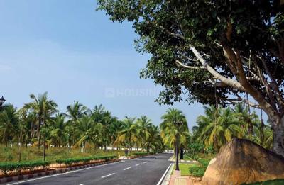 Project Image of 1013.0 - 1856.0 Sq.ft Residential Plot Plot for buy in Chartered Veda