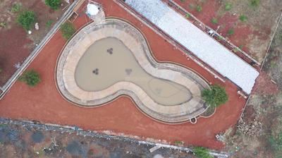 Project Image of 0.0 - 9000.0 Sq.ft Residential Plot Plot for buy in Udyanavanam