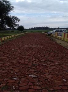 Project Image of 900.0 - 3480.0 Sq.ft Residential Plot Plot for buy in Sigma Rock Pradhan City