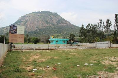 Project Image of 1200.0 - 1500.0 Sq.ft Residential Plot Plot for buy in Apranje Aura