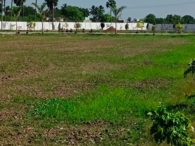Project Image of 600.0 - 1500.0 Sq.ft Residential Plot Plot for buy in Vijayaram Green City