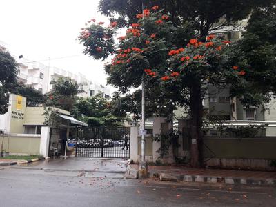 Project Image of 1885.0 - 2847.0 Sq.ft 3 BHK Apartment for buy in Sobha Tulip