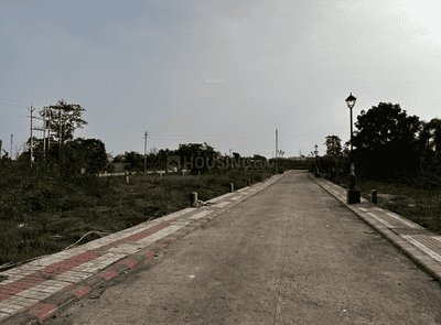 Project Images