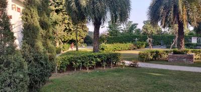 Project Image of 1180 Sq.ft 3 BHK Builder Floor for sale in New Chandigarh for Rs. 9500000
