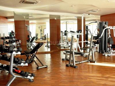 Project Image of 2615.0 - 8580.0 Sq.ft 3 BHK Apartment for buy in Parsvnath Exotica