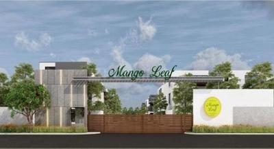 Project Images