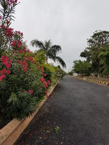 Project Image of 1503.0 - 4800.0 Sq.ft Residential Plot Plot for buy in Vensha Asian Township