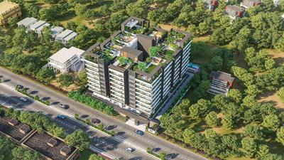 E11 Evolve Elevation 2