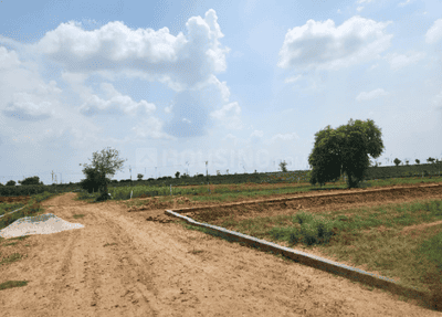 Project Image of 891.0 - 4456.0 Sq.ft Residential Plot Plot for buy in Resi 1st City