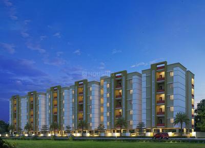 Skandhanshi Hibiscus  Elevation 1
