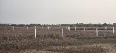 Project Image of 1000.0 - 10000.0 Sq.ft Residential Plot Plot for buy in Bhoomi Plots In Ranjanpada
