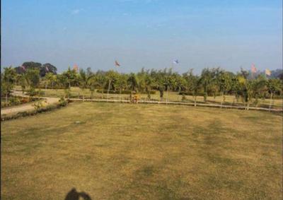 Project Image of 2250.0 - 4500.0 Sq.ft Residential Plot Plot for buy in Altus Muirwoods