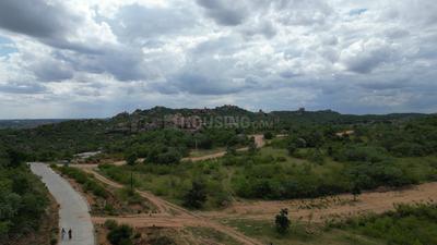 Project Image of 2199.5 - 6772.33 Sq.ft Residential Plot Plot for buy in Aliens Hub