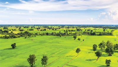 Project Image of 1163.0 - 2400.0 Sq.ft Residential Plot Plot for buy in Tata Swaram Phase 1