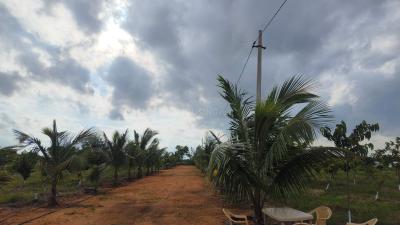 Project Image of 1089.0 - 5445.0 Sq.ft Residential Plot Plot for buy in Fortune Samskruthi Farms