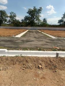 Project Images