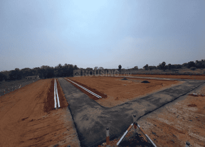 Project Images