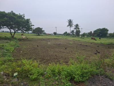 Project Image of 421.0 - 1461.0 Sq.ft Residential Plot Plot for buy in Superr Dhakshinamurthy Nagar