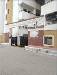 Project Image of 0.0 - 1136.0 Sq.ft 2 BHK Apartment for buy in DS Scion
