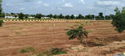 Project Image of 1089.0 - 4590.0 Sq.ft Residential Plot Plot for buy in Sunrise Nature Farms