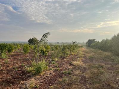 V Navya Greens Lobby 1