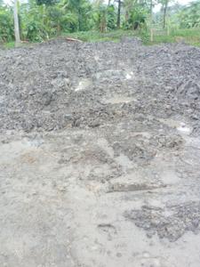 Project Image of 1080.0 - 2160.0 Sq.ft Residential Plot Plot for buy in Bhupati Amgachia Abasan