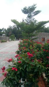 Hum Devlok Amenities 2