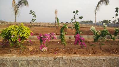 Project Image of 1323.0 - 4500.0 Sq.ft Residential Plot Plot for buy in Space Vision Ambience Block O