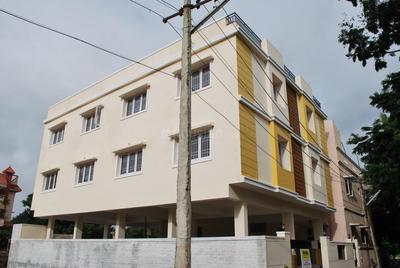 Daffodils Springz Images for Elevation of Daffodils Blossoming Homes Springz 1