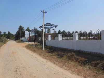 Project Image of 0.0 - 1200.0 Sq.ft Residential Plot Plot for buy in Peninsula Pine woods