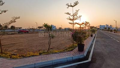 Project Image of 774.0 - 1600.0 Sq.ft Residential Plot Plot for buy in Crystal Crown By Urban Tree