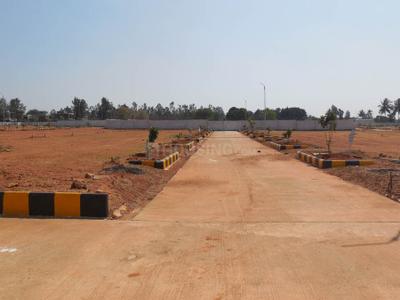 Project Image of 0.0 - 1200.0 Sq.ft Residential Plot Plot for buy in Peninsula Pine woods