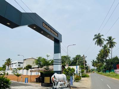 Project Image of 1250.0 - 2734.0 Sq.ft Residential Plot Plot for buy in Balaji Avenue