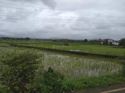 Project Image of 1089 Sq.ft Residential Plot / Land for sale in Pirkone for Rs. 490000